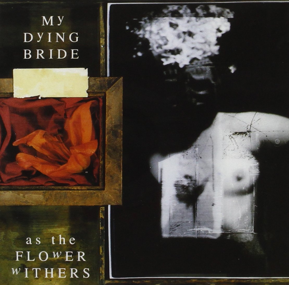 As The Flower Withers