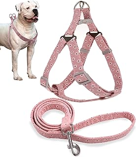 Dog Harness and Leash Set, No Pull Step in Basic Halter Harness for Medium, Small Breed Dogs Cats Pink Flower S