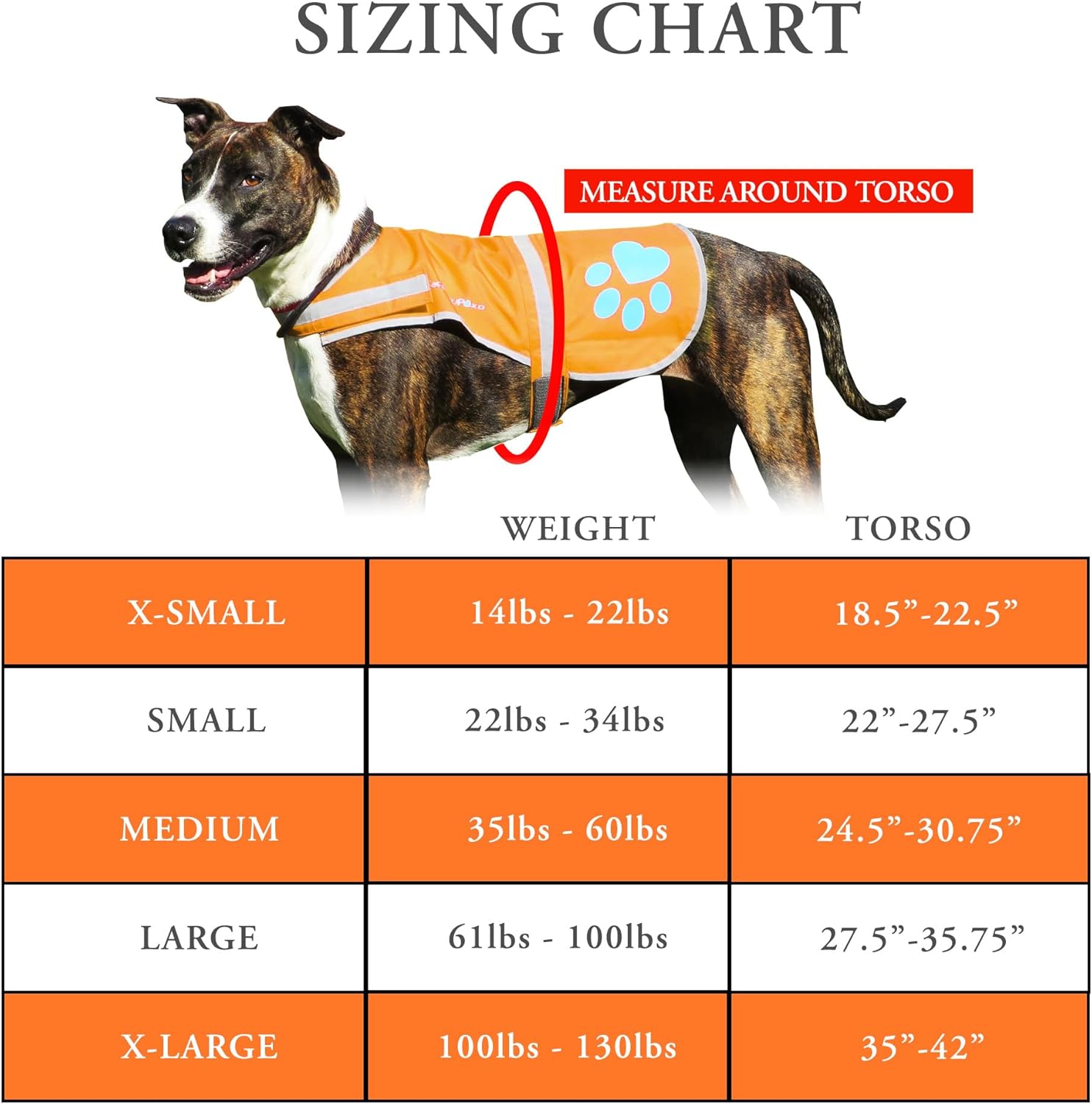 Reflective Dog Vest. Hi-Visibility, Fluorescent Blaze Orange Dog Vest Helps Protect Your Best Friend. Safeguard Your PUP from Motorists & Hunting Accidents, On or Off Leash. (Large)