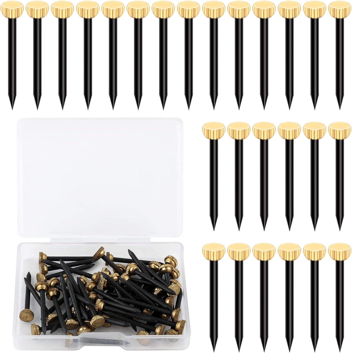 SAVITA D15377 50Pcs Picture Hanging Nails Picture Hang Solutions Plaster Picture Frame Hanger Nails with Plastic Storage Box (0.07x1.02inch),Black