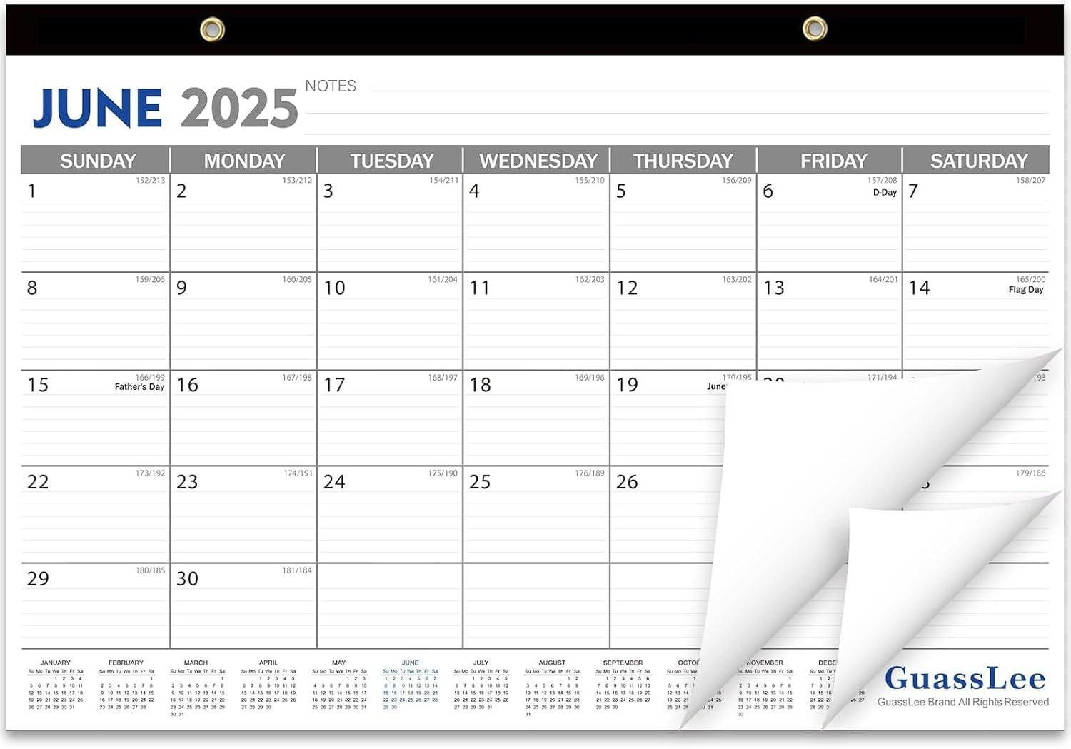 GuassLee Desk Calendar 2025-2026 - 19 Monthly Desktop Calendar 17" x 11.5" Runs from Jun. 2025-Dec. 2026 with Julian Dates for Students Family Office Easy Planning