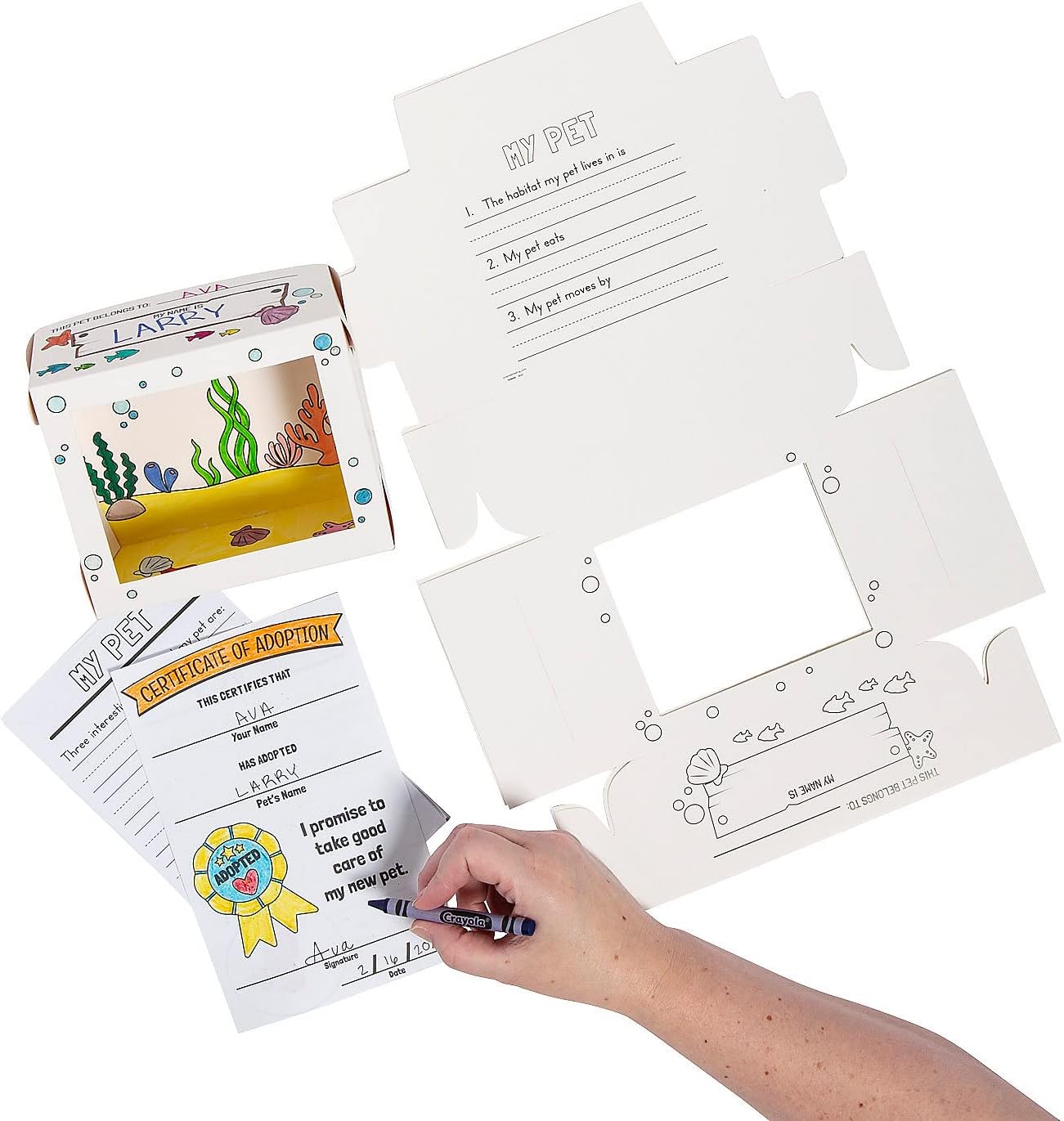 Fun Express Color Your Own Desk Pet Ocean Habitat with Adoption Certificates - VBS Vacation Bible School Supplies/Decor - 12 Pieces