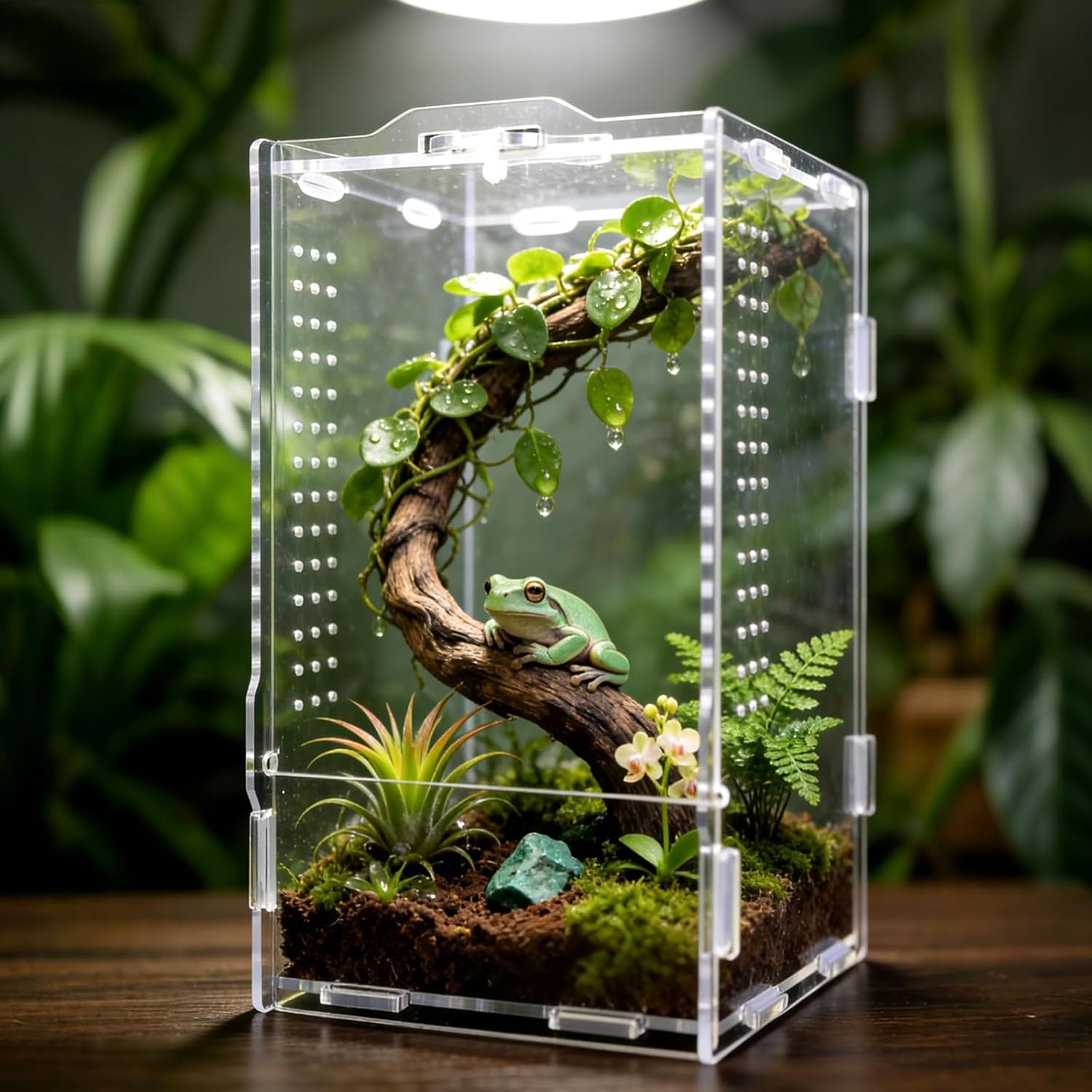 Jumping Spider Enclosure, Insect Terrarium, Bug Cage, 12 x 11 x 20 cm Acrylic Terrarium for Tarantula, Snail, Praying Mantis, Frog, and Small Reptiles