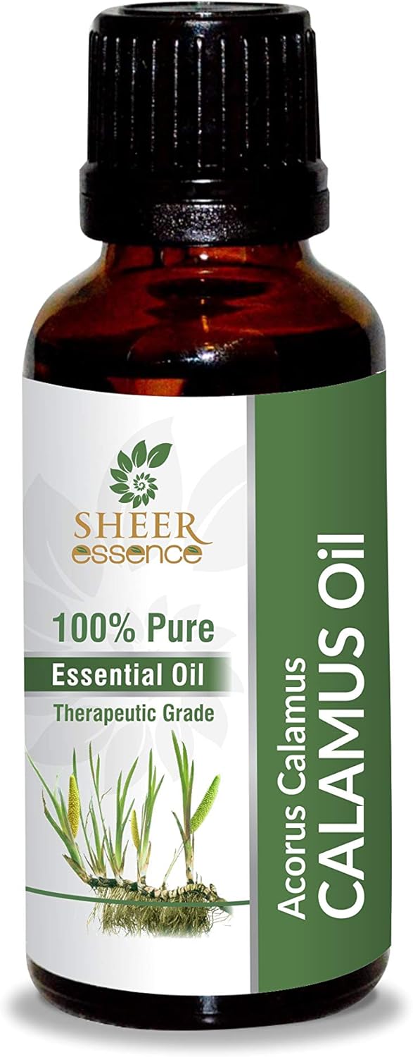Calamus Root Oil -(Acorus Calamus)- Essential Oil 100% Pure Natural Undiluted Uncut Therapeutic Grade Oil 0.16 Fl.OZ
