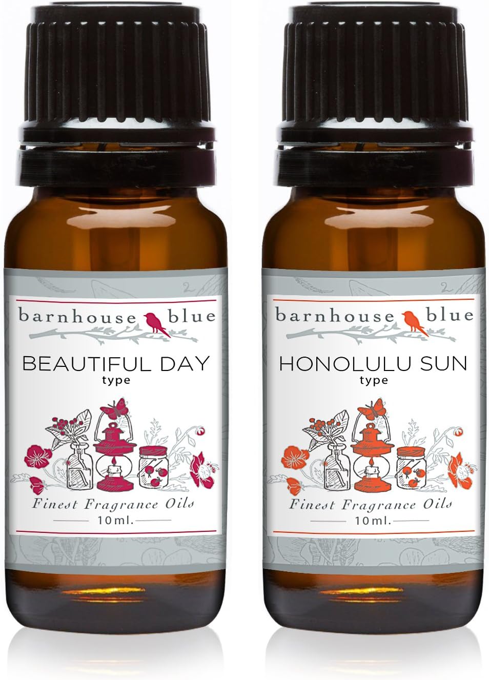 Barnhouse Blue Beautiful Day Type & Honolulu Sun Type 2 Pack Premium Grade Fragrance Oils - for Candle, Soap Making, & More - 10ML