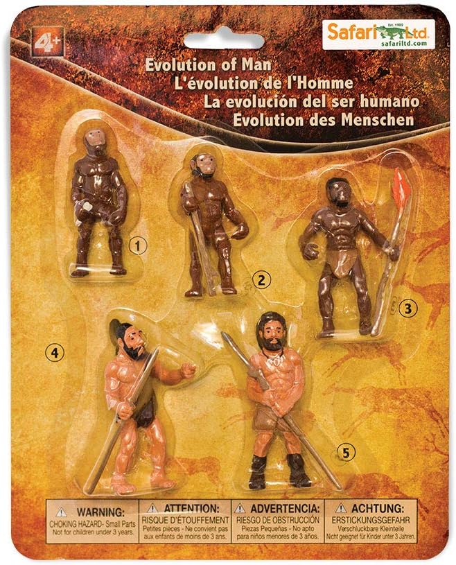 Safari Ltd. Evolution of Man Set - Detailed Educational Human Evolution Toy Figurines - Realistic Human Development Stages Collection for Boys, Girls & Kids Age 4+