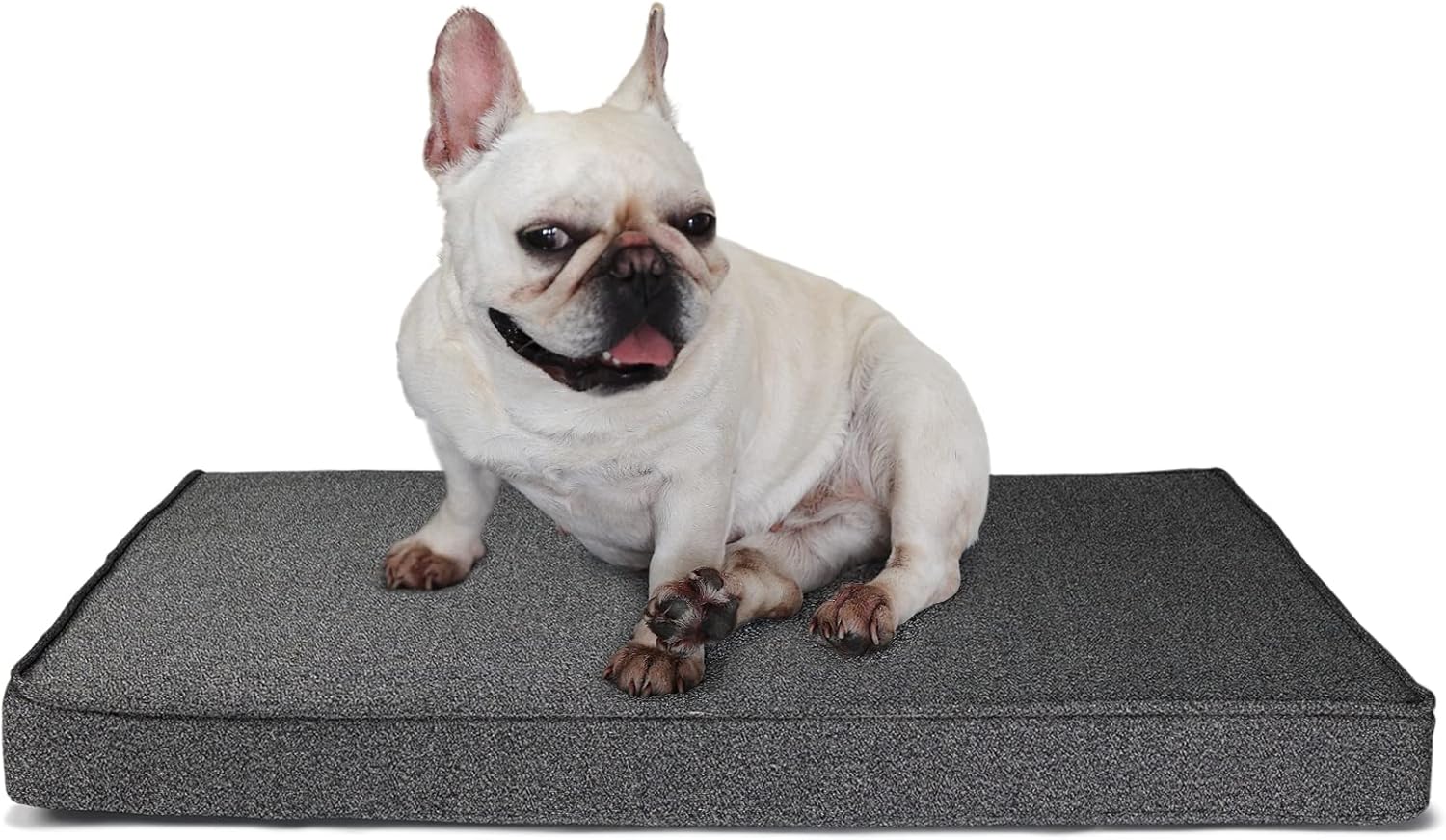 Indestructible Dog Beds Chew Proof Small Breed with Washable Removable Cover Waterproof Dog Crate Bed with Memory Foam Orthopedic Cooling 28”x20” Dark Grey