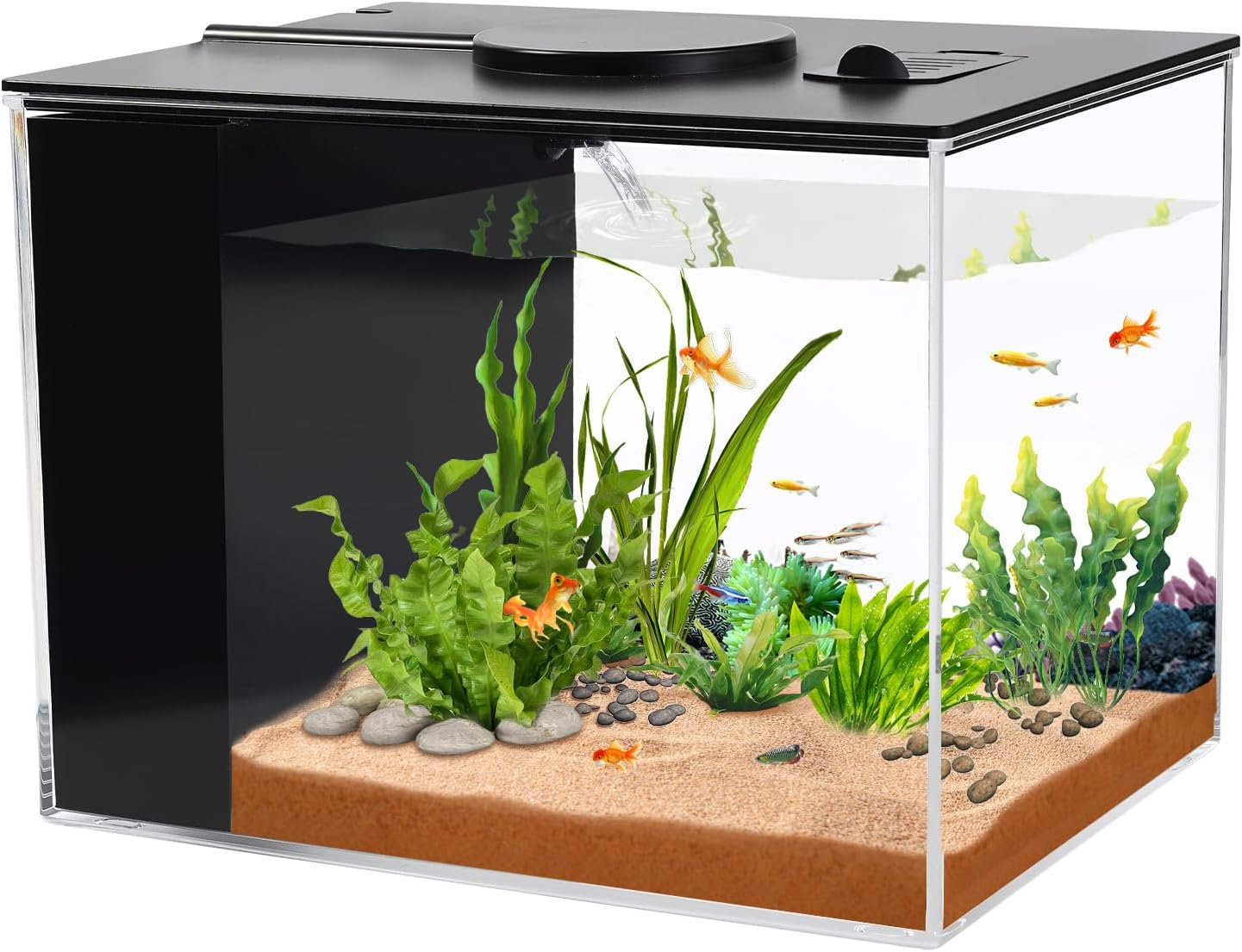 AQUANEAT Fish Tank, 1 Gallon Betta Fish Tank, Small Aquarium Kit with LED Light and Water Filter Pump