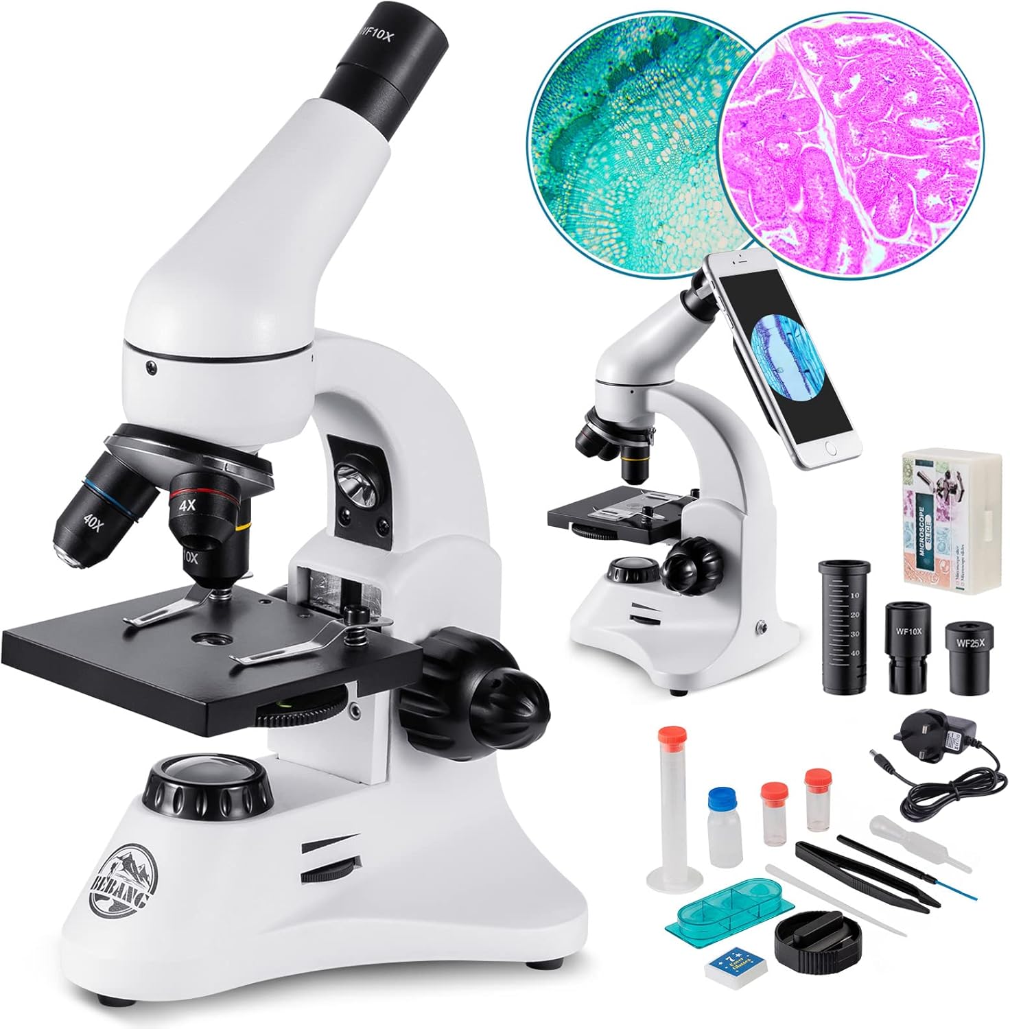 Microscope, 2000X Metal Optical Microscope for Adults Kids Students with Slides Kit Pro Biological Microscopes School Home Education Tool