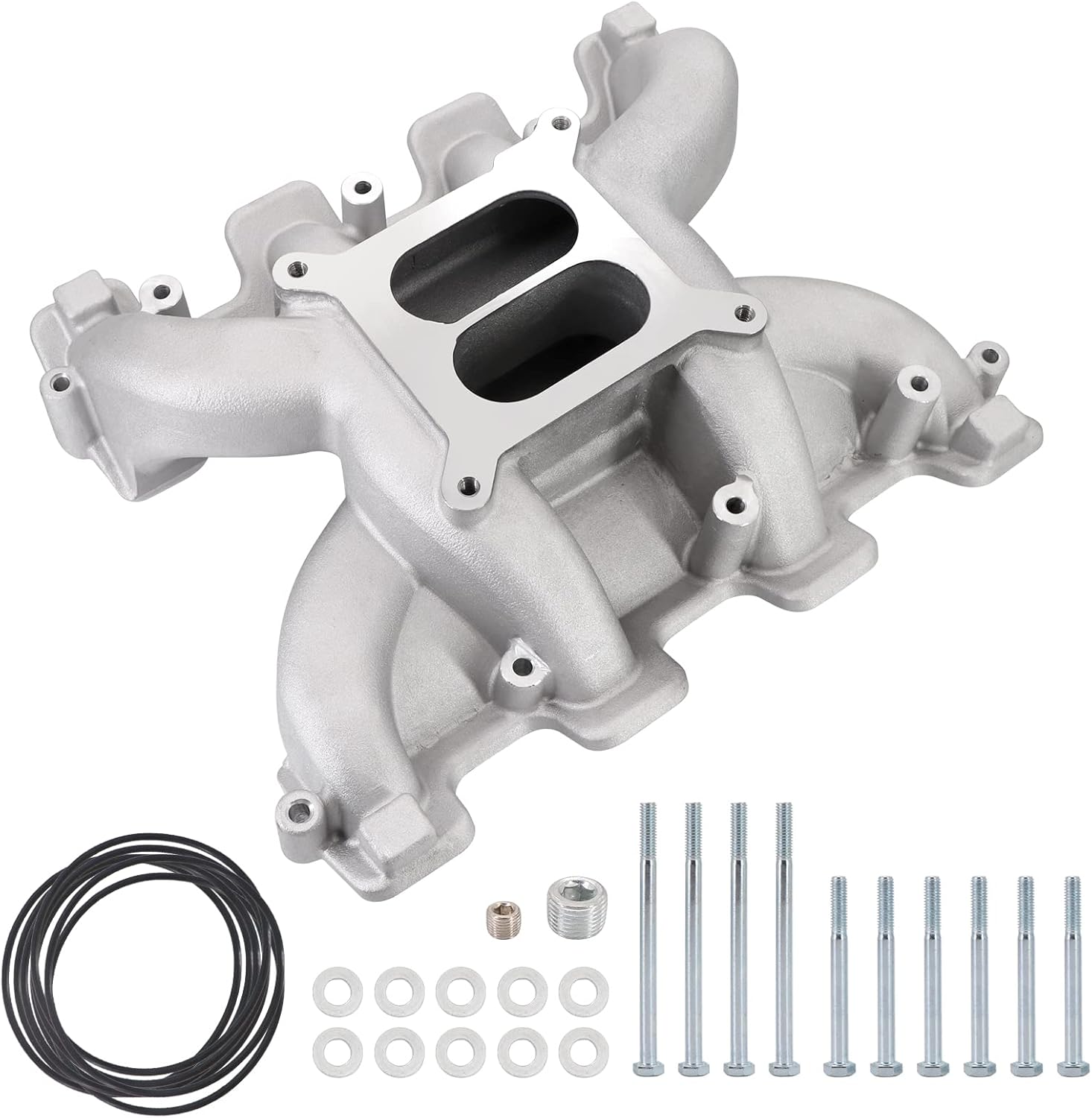 Dokili Dual Plane Carbureted Intake Manifold for G.M LS1 LS2 LS6 Satin Holle.y 300-130