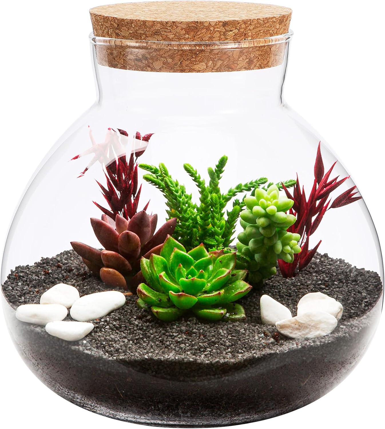 Happyyami Home Decor Round Glass Jar Terrarium Succulent Plant Terrarium Moss Vases Jars Message Wishes Bottle Candy Bottle with Cork Lid for Fern Moss Succulent Air Plants Glass Vase