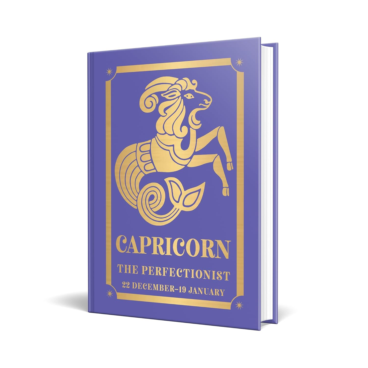 Capricorn: The Perfectionist