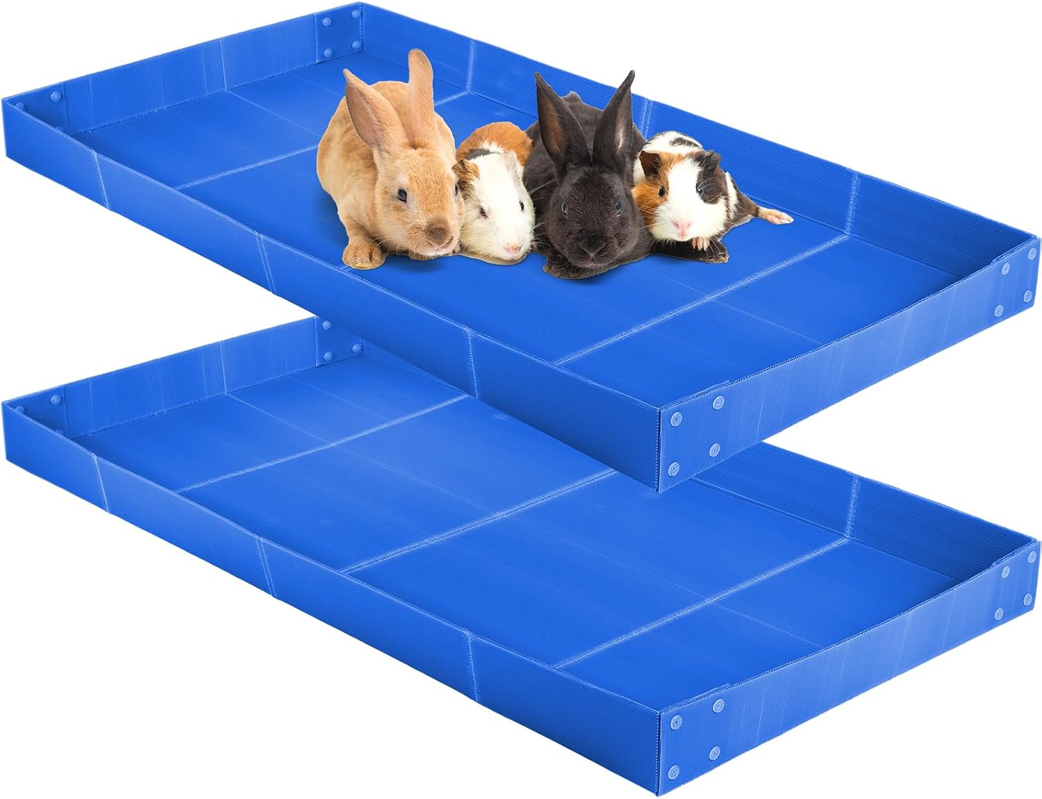 Wenqik 2 Pcs Guinea Pig Cage Liner Corrugated Plastic Base, Blue