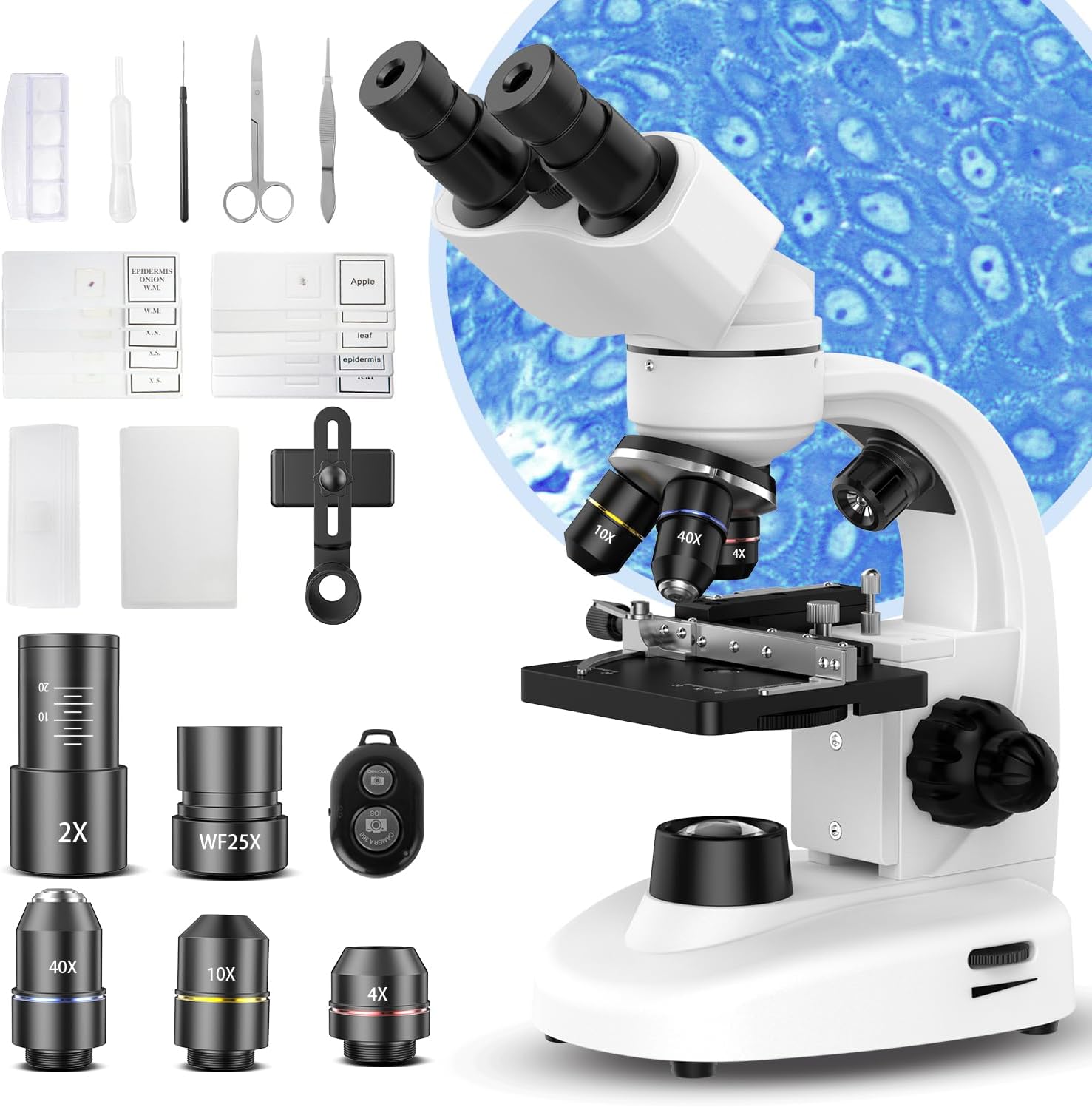 Compound Binocular Microscope for Adults, Professionals & Kids, 40X-2000X Magnification with LED Illumination, Mechanical Stage, WF10x & WF25x Eyepieces，Compatible for Lab, School, Home Education