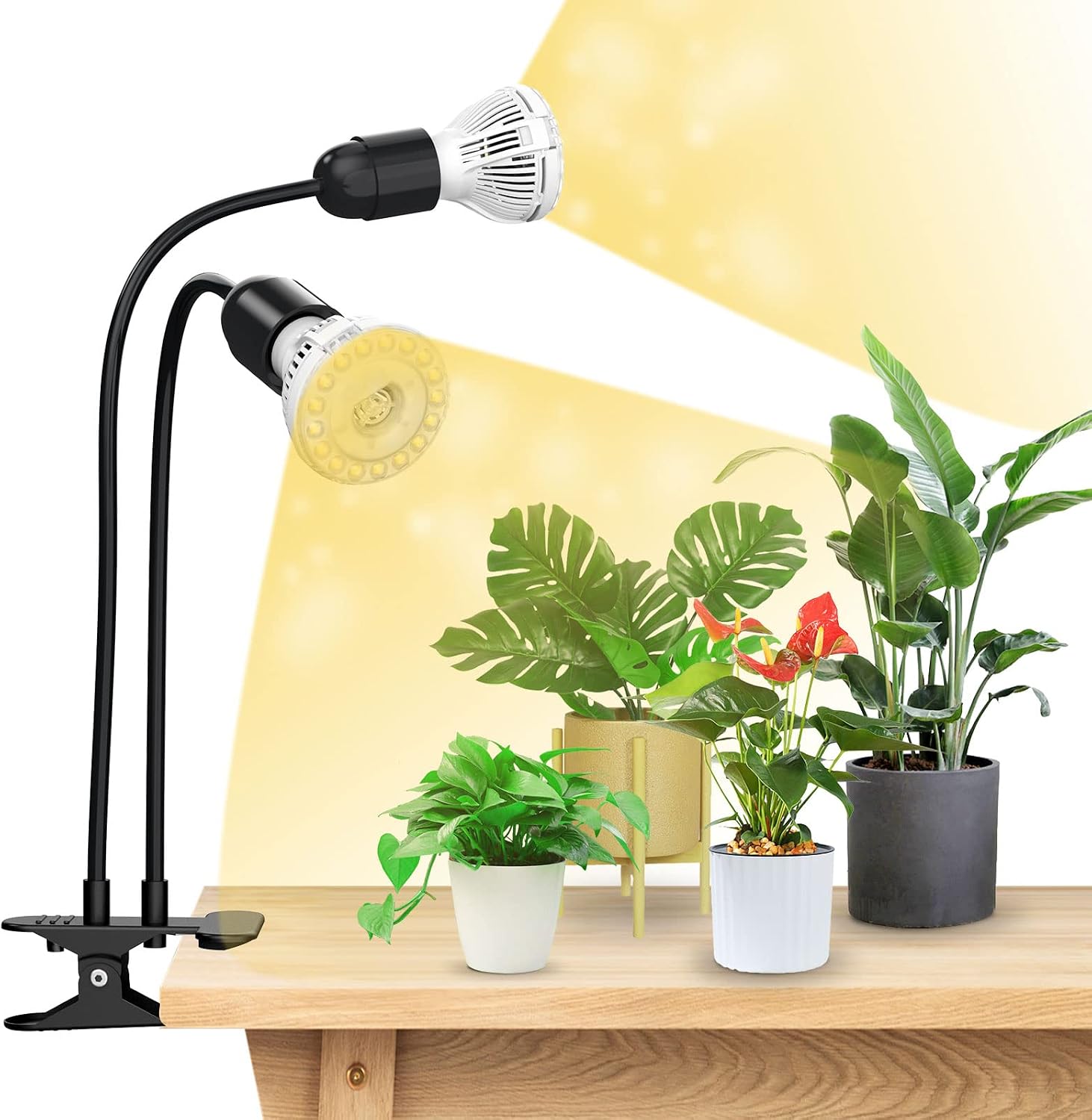 SANSI 2-Head LED Grow Lights for Indoor Plants Full Spectrum 20W, Black | 150W Equiv. Plant Grow Lamp, Lifetime Free E27 Grow Bulb Replacement, Optical Lens for Seedlings Plant Growing