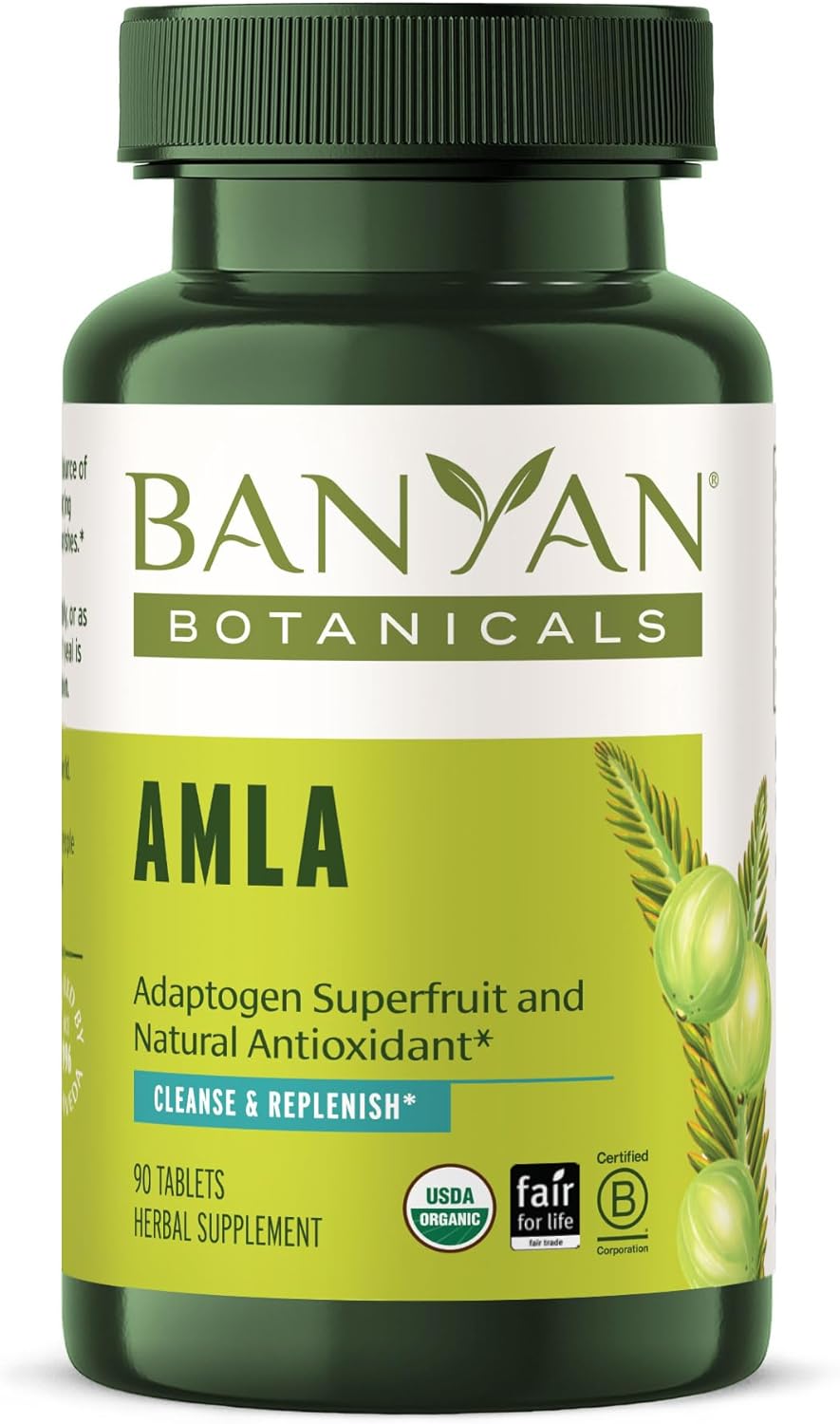 Banyan Botanicals Amla (Amalaki) Tablets – Organic Emblica Officinalis – Natural Source of Vitamin C and Antioxidants – Supports Digestion and Cleansing* – 90 Tablets – Non GMO Sustainably Sourced
