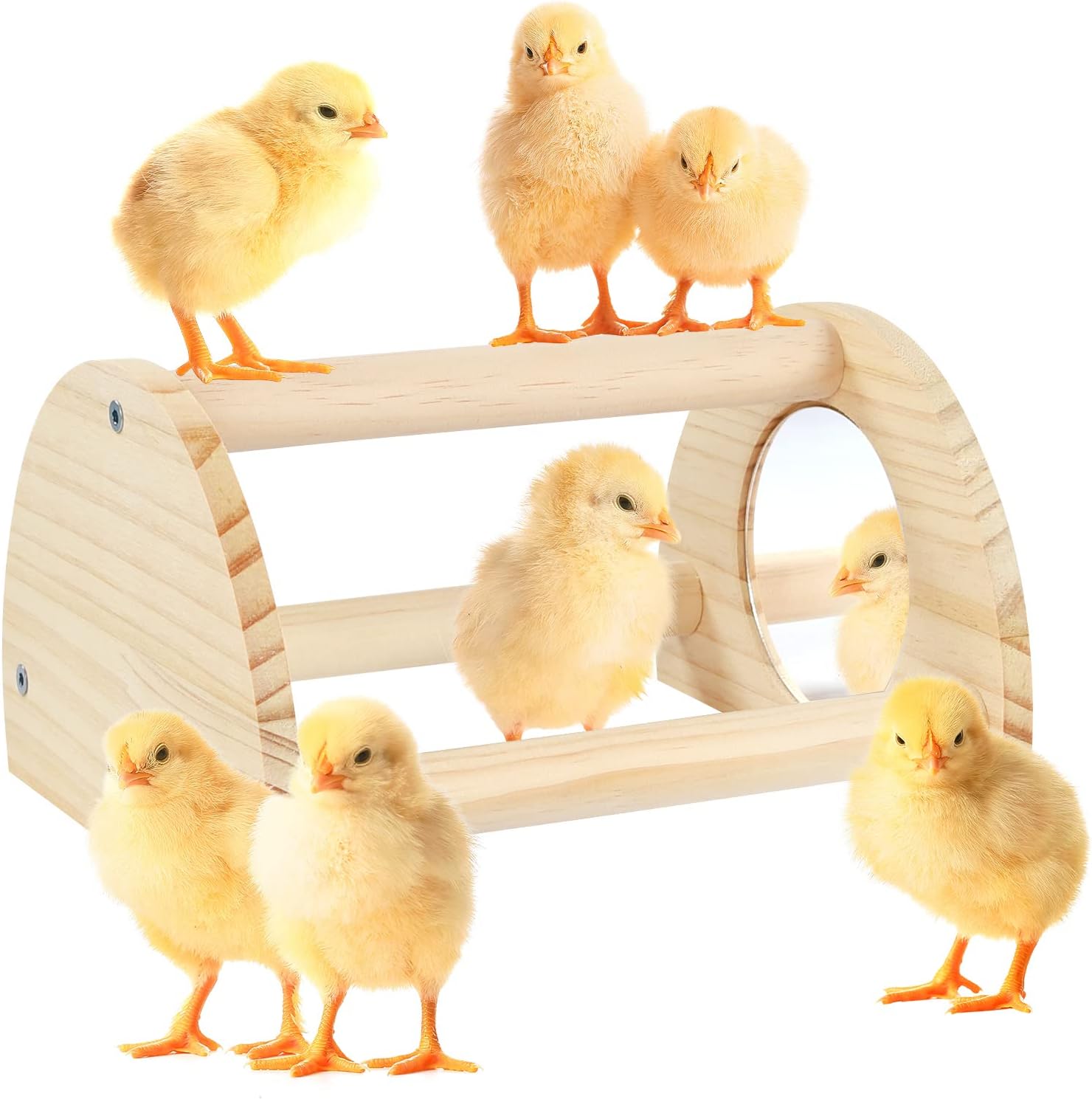 Pine Chicken Perch with Mirror, Strong Chick Jungle Gym Roosting Bar, Chicken Toys for Coop and Brooder, Training Perch Toys for Large Bird, Parrot, Macaw, Hens (Small)