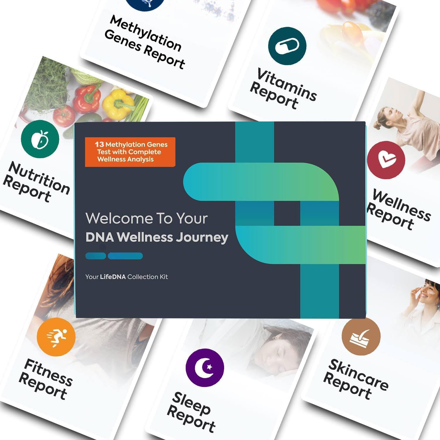 LifeDNA 13 Methylation Genes Test Complete Wellness Analysis | Over 120 Traits for Nutrition, Fitness, Vitamins, Sleep, Skincare Reports