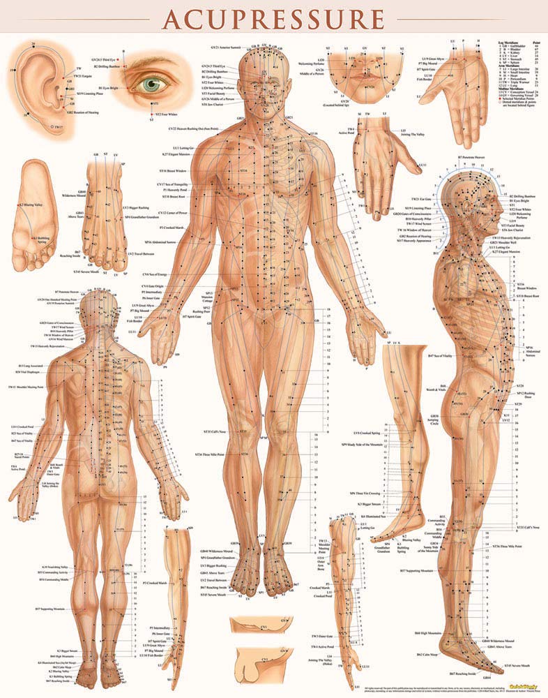 Acupressure Poster (22 x 28 inches) - Laminated: Anatomy of Points for Acupressure & Acupunture