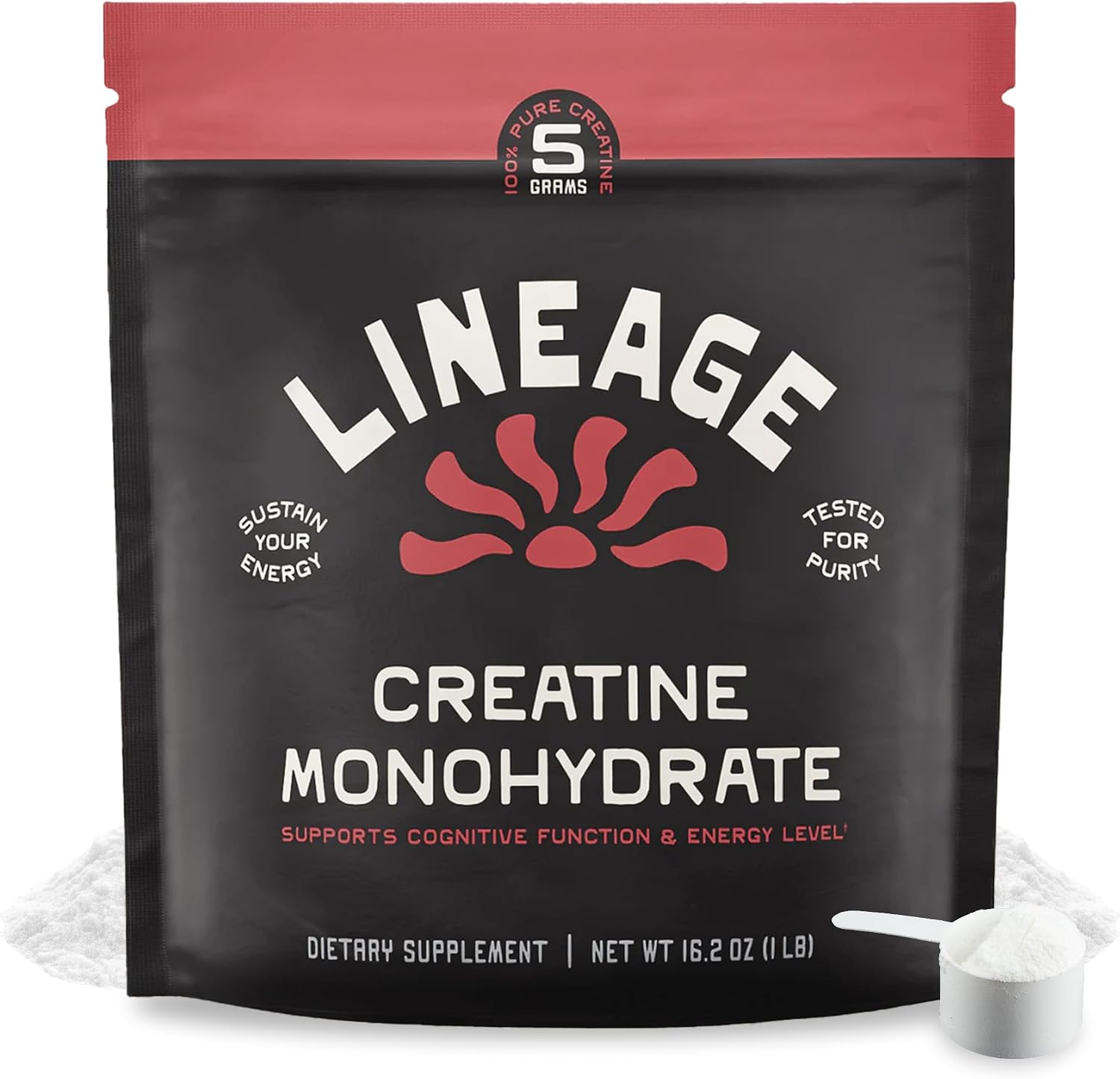 Lineage Provisions Micronized Creatine Monohydrate with Sea Salt - Micronized Creatine Powder for Training & Performance – No Artificial Ingredients – 90 Servings