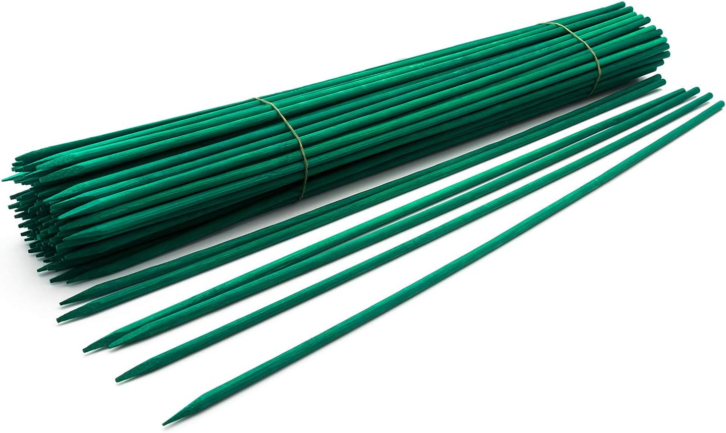 Royal Imports Green Wood Plant Stake, Bamboo Floral Gardening Sturdy Support Picks, Wooden Sign Posting Potted Garden Orchid Sticks (12 Inch - 100 Pcs)