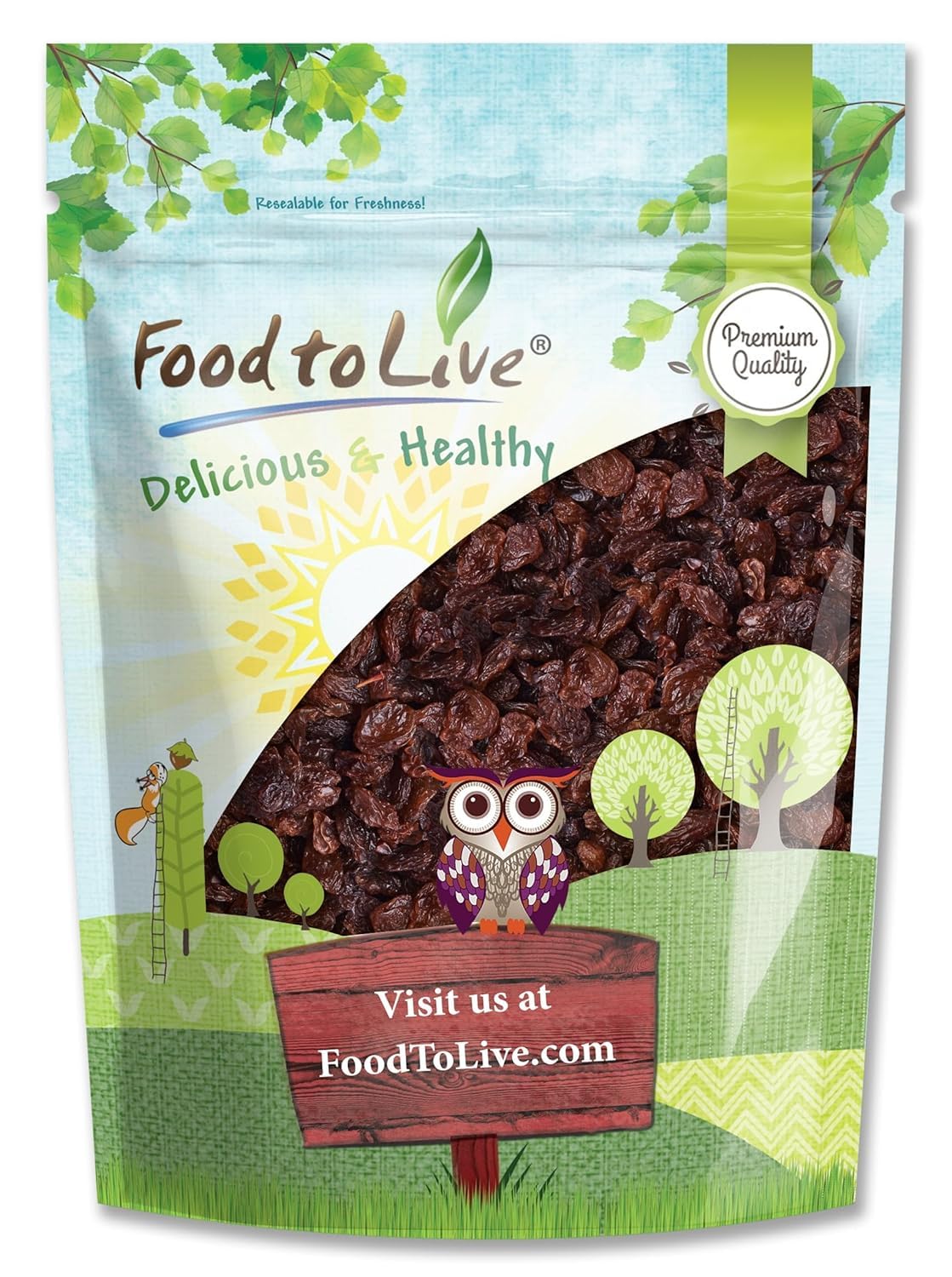 Food to Live Sultana Raisins, 1 Pound – Natural Dried Grapes for Baking, Snacking, and Trail Mixes. No Sugar Added, Unsulfured, Lightly Coated with Sunflower Oil. Perfect Pantry Staple