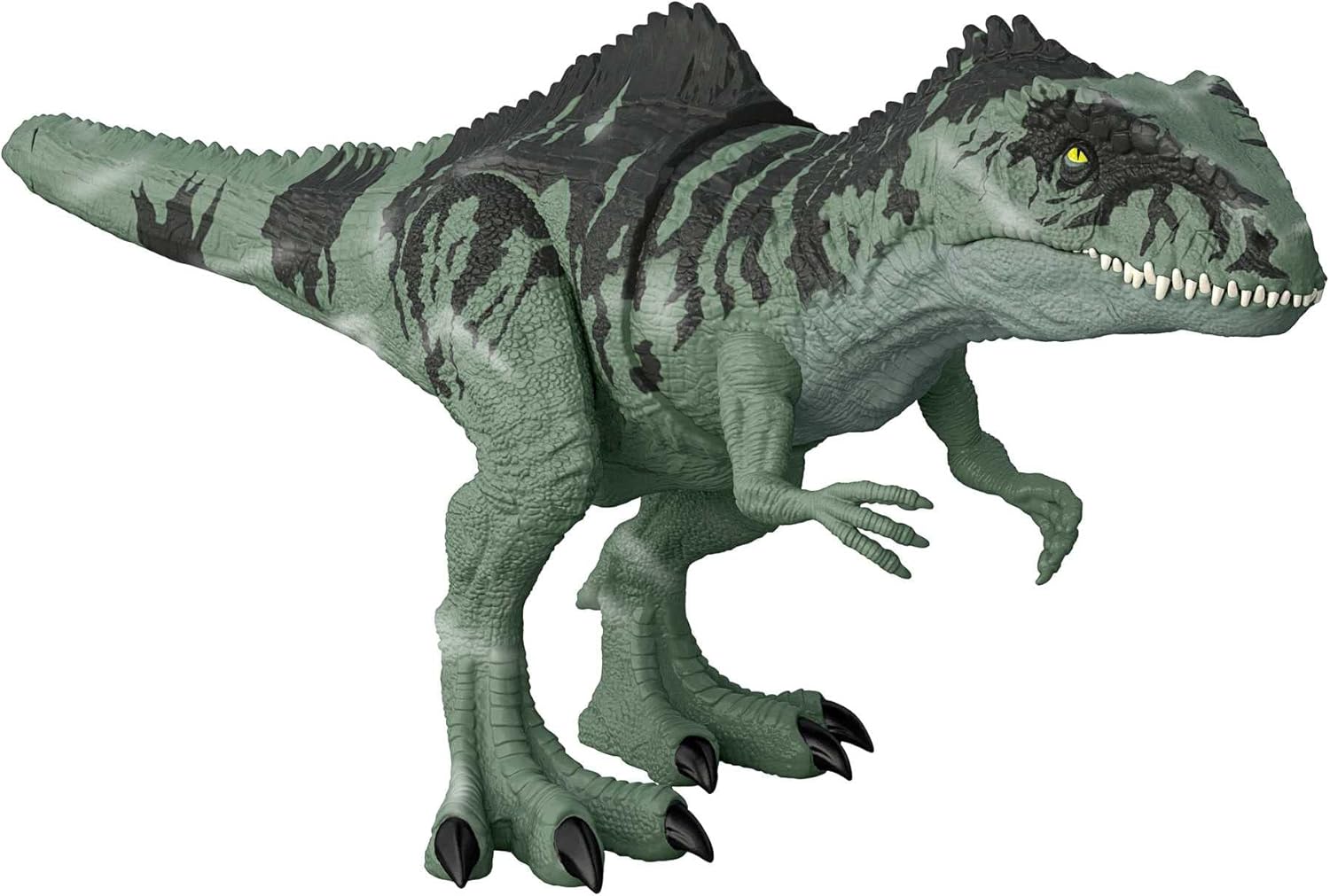 Jurassic World Dominion Dinosaur Toy, Strike N Roar Giganotosaurus Action Figure with Striking Motion and Sounds, GYC94