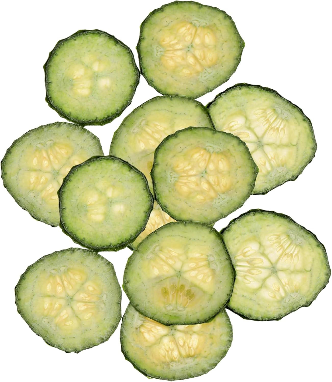HOMSFOU 12pcs Dried Pressed Cucumber Slices for DIY Crafts Lightweight Vegetable Craft Material Vivid Appearance and Easy to Use for Family Fun