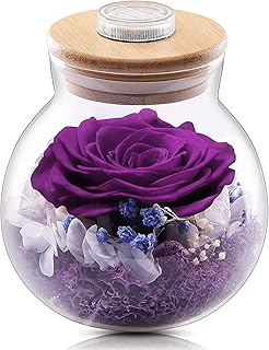 Childom Birthday Gifts for Women,Light Up Rose Gifts for Her,Christmas Rose Gifts for Women,Purple Preserved Flowers Real Rose Fresh Flower with Colorful Light in Wishing Bottle,Mothers,Thanksgiving