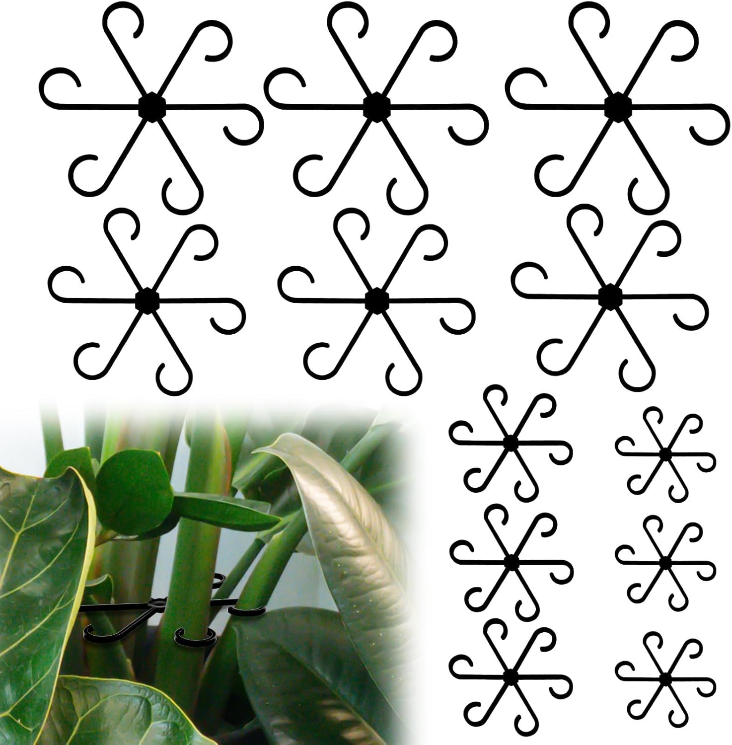 BOXOB 12pcs Plant Stem Support, 4 Sizes Flower Plant Stem Hook Stakes Trellis Reusable Climbing Houseplant Stem Holder Plants Climbing Rack for Different Plantfor(Black)