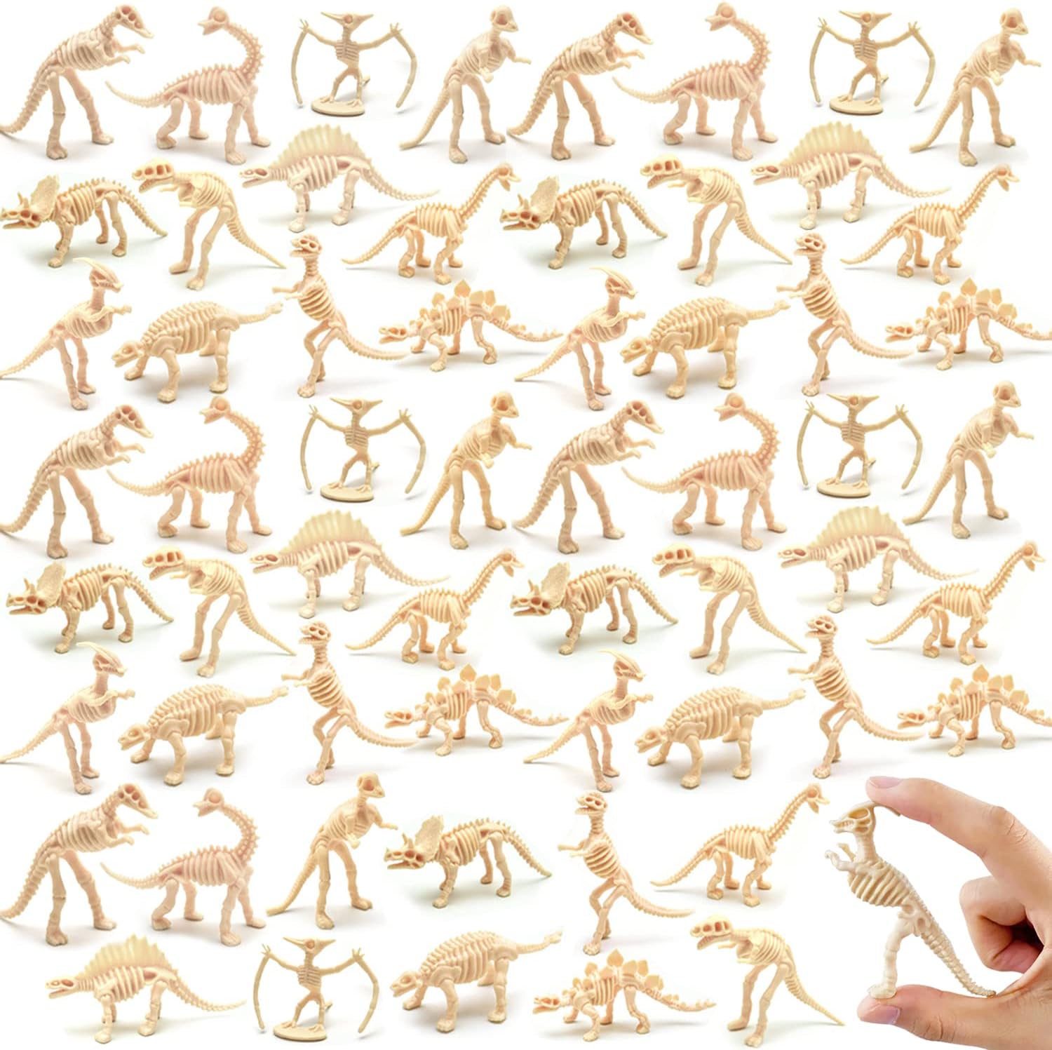 Qiuttnqn 60 Pack Dinosaur Fossil Skeletons,Plastic Figures Dino Bones,Dinosaur Skeleton Toys for Dino Sand Dig,Science Play,Party Favor,12 Styles