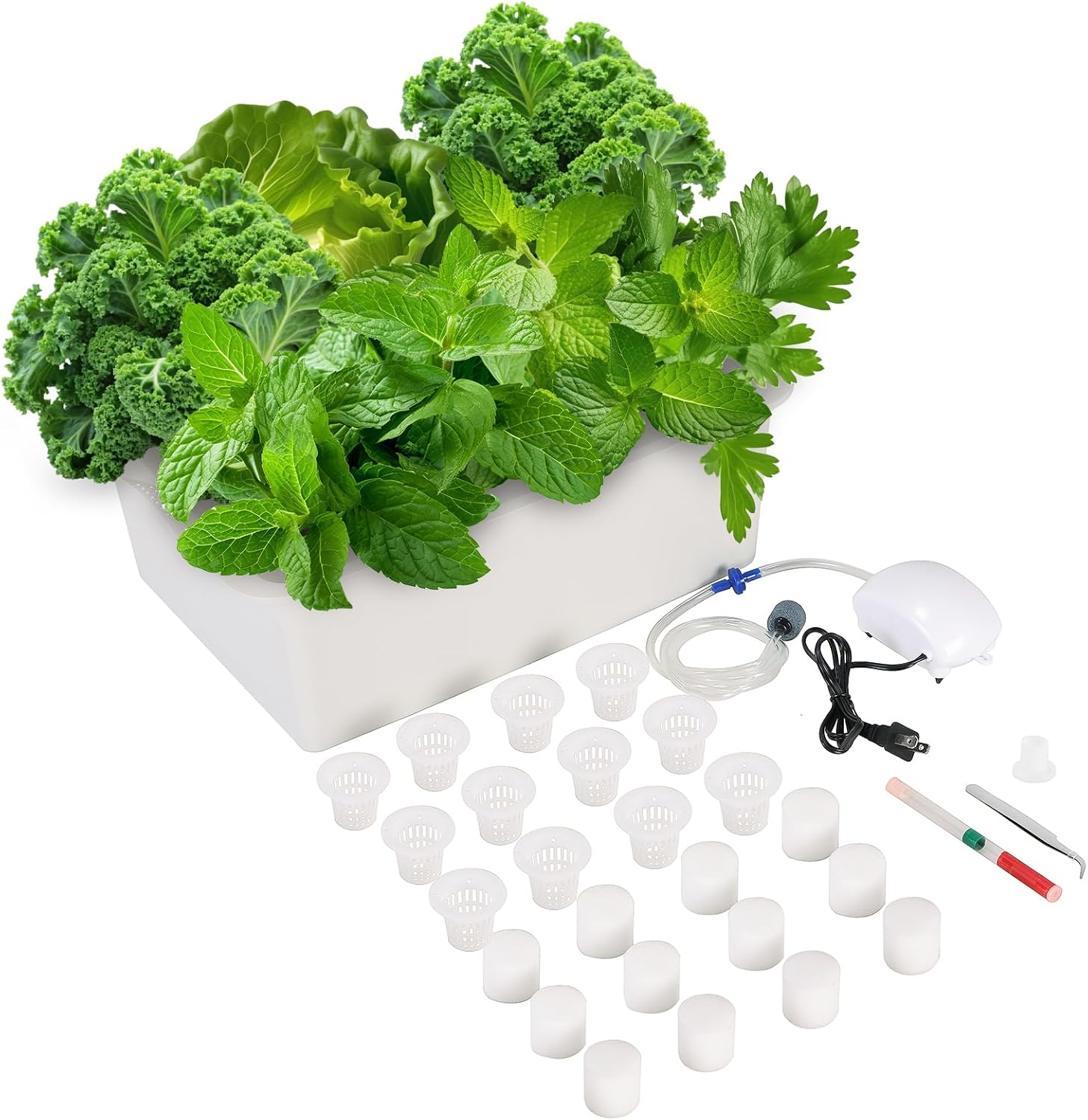 Hydroponics Growing System Kit with Air Pump, Bubble Stone