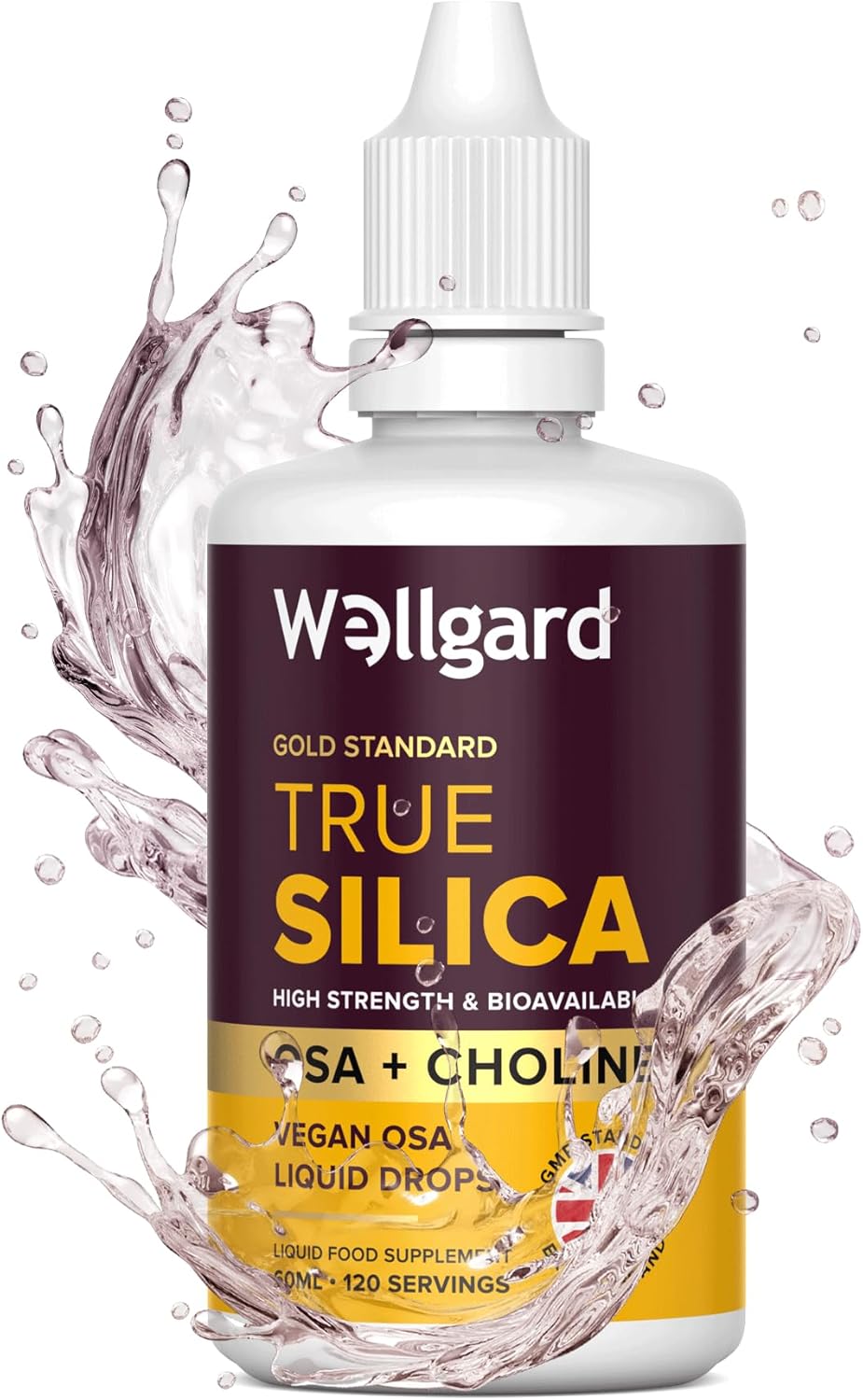Silicium Supplement, Wellgard True Silica – Stabilised Silicon with Choline and Ortho Silicic Acid (OSA), Vegan Liquid Supplement for Skin, Hair, and Nails, 60ml