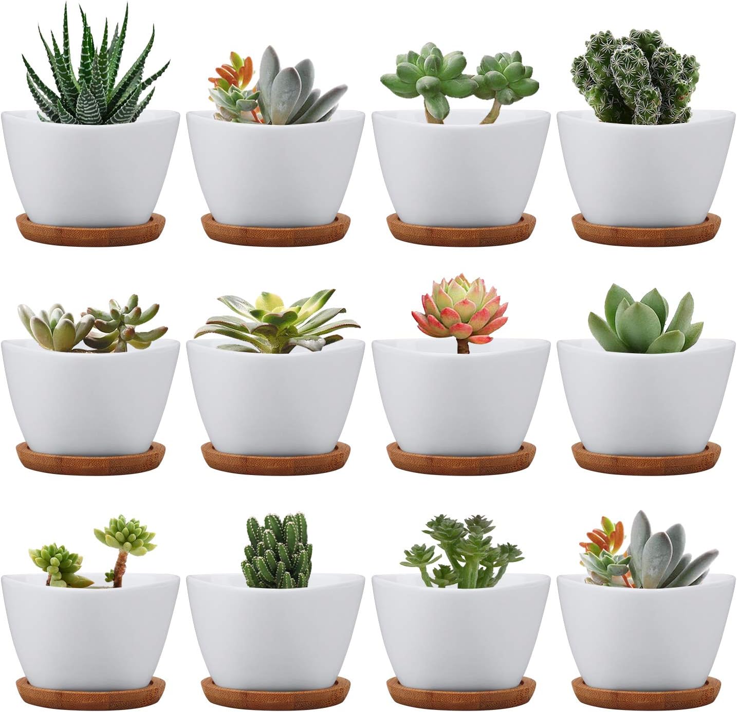 Succluent Pots ，Small Flower Pots Planter Pots with Drinage,Ceramic Flowers Pots with Bamboo Tray for Cactus(12 Pack)