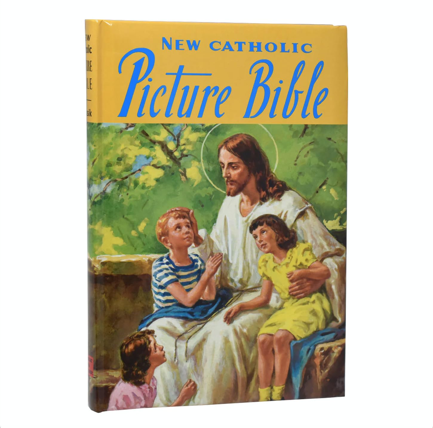 New Catholic Picture Bible Catholic Book Publishing Corp.