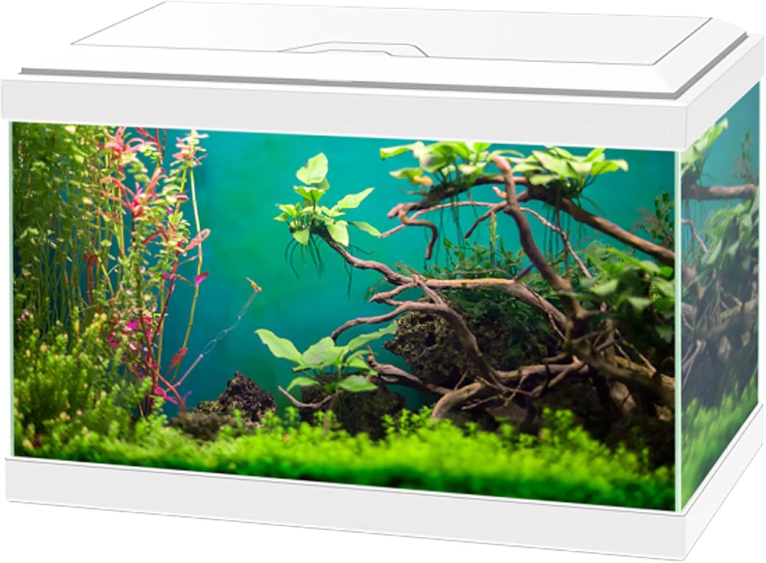 Ciano Aqua 20 Classic Aquarium Fish Tank - White