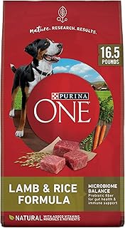 Purina ONE Dry Dog Food Lamb and Rice Formula - 16.5 lb. Bag