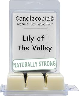 Lily of The Valley Strongly Scented Hand Poured Vegan Wax Melts, 12 Scented Wax Cubes, 6.4 Ounces in 2 x 6-Packs