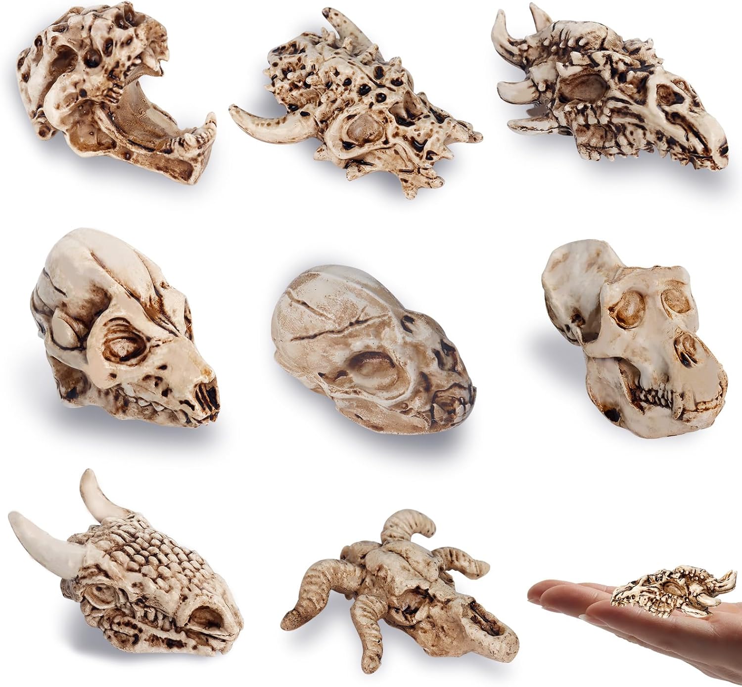 Bbiamsleep 8 Pcs 2.3 Inch Animal Skulls Figurine Resin Mini Skulls Dinosaur Alien Animal Skulls Decor Ornament Mini Skull Heads for DIY Projects Halloween Christmas Decoration