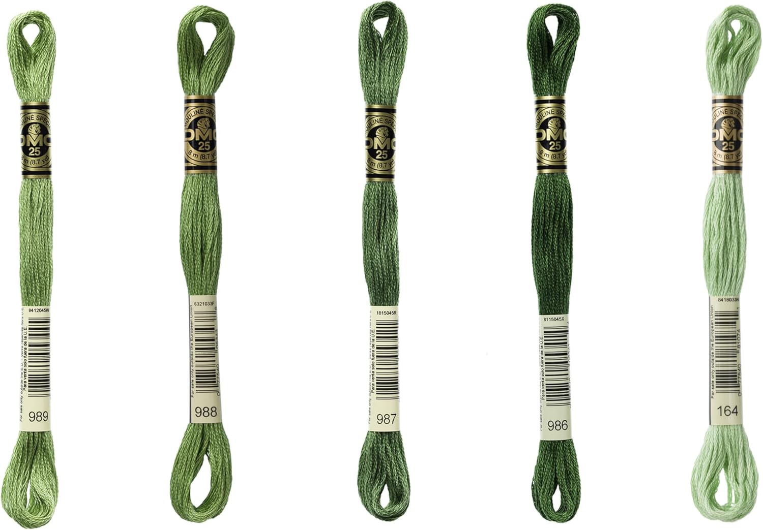 DMC 6-Strand Embroidery Cotton Bundle - Forest Green Color Family - 5 Skeins of Thread - 8.7yd Skeins