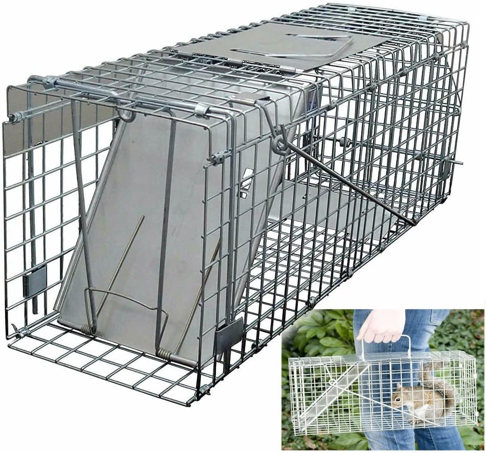 One-Door Live Animal Traps Cage for Rabbit, Squirrel, Possum, Skunk, Kitten, Mink - Humane Rat Trap Catch and Release, Chipmunk Trap Mouse Catcher for Indoor and Outdoor