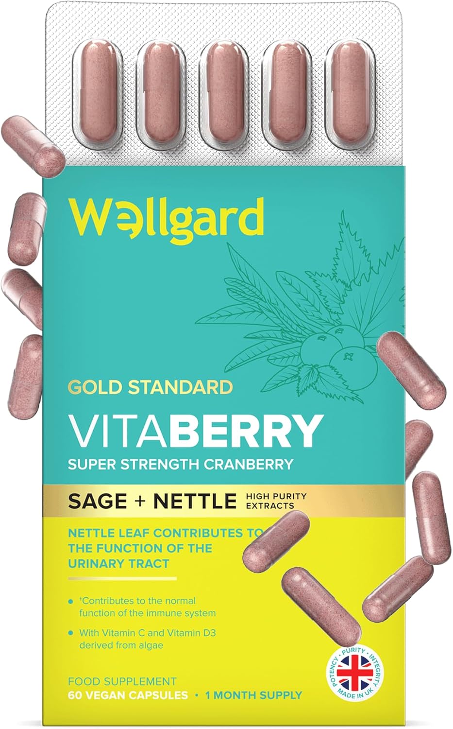 Wellgard Vitaberry for Women's Urinary Tract 60 Capsules - Proanthocyanidin-Rich Cranberry Capsules High Strength with Sage & Nettle Leaf, Vegan, Made in UK