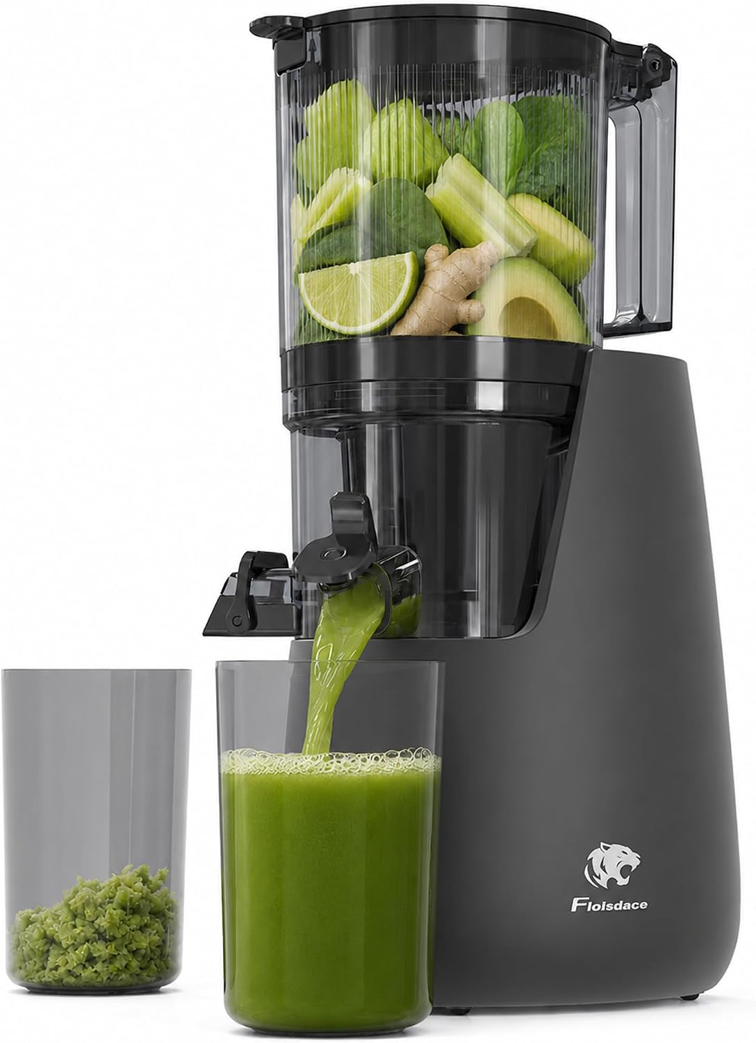 Floisdace B12 Cold Press Juicer