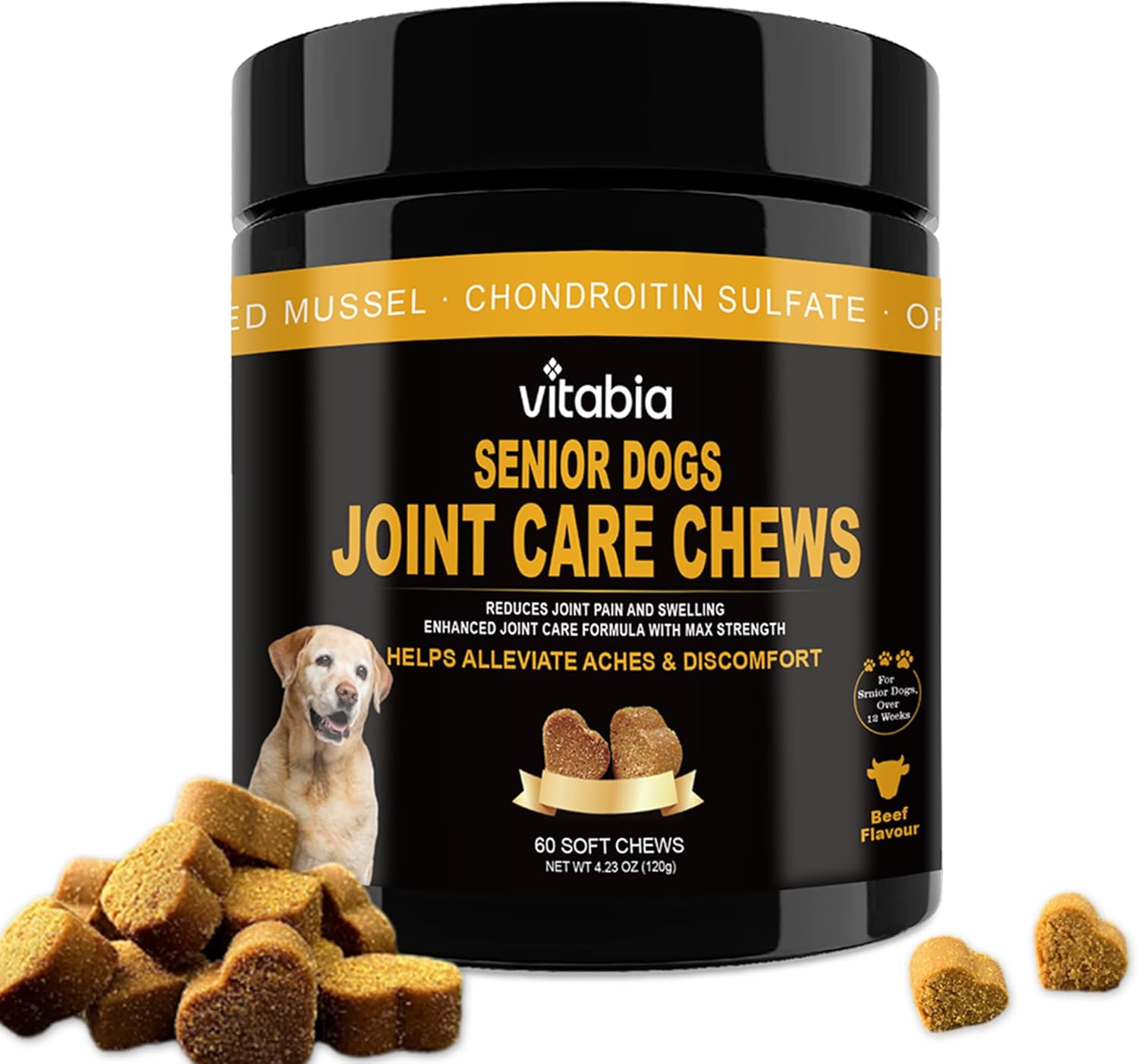 Senior Dog Joint Supplements with Glucosamine Chondroitin MSM - Hip & Joint Support for Dogs with Green Lipped Mussel, Turmeric, Omega 3 for Mobility & Comfort - Beef Flavour Dog Supplements