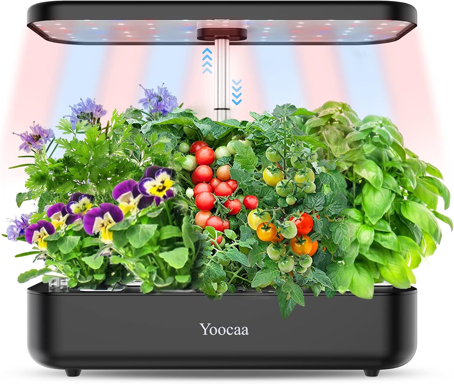 Yoocaa 12-Pod Hydroponics Growing System with LED Grow Light & Automatic Timer, Adjustable Indoor Herb Garden Kit for Home Kitchen (19.4'' Max Height), Black