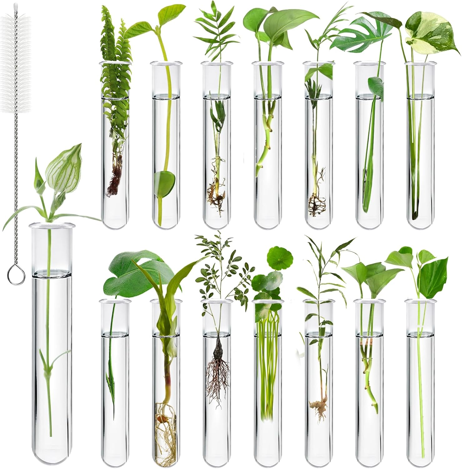15Pcs Clear Test Tubes for Plant, 20ml Plant Propagation Tube with Brush, Plastic Test Tubes for Hydroponic Plants, Flowers, Home Office Wall Decor (12cm), Transparent