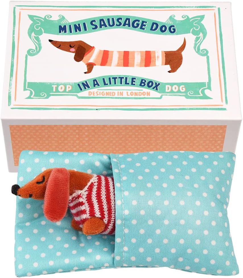 Rex London Mini Sausage Dog in a Little Box