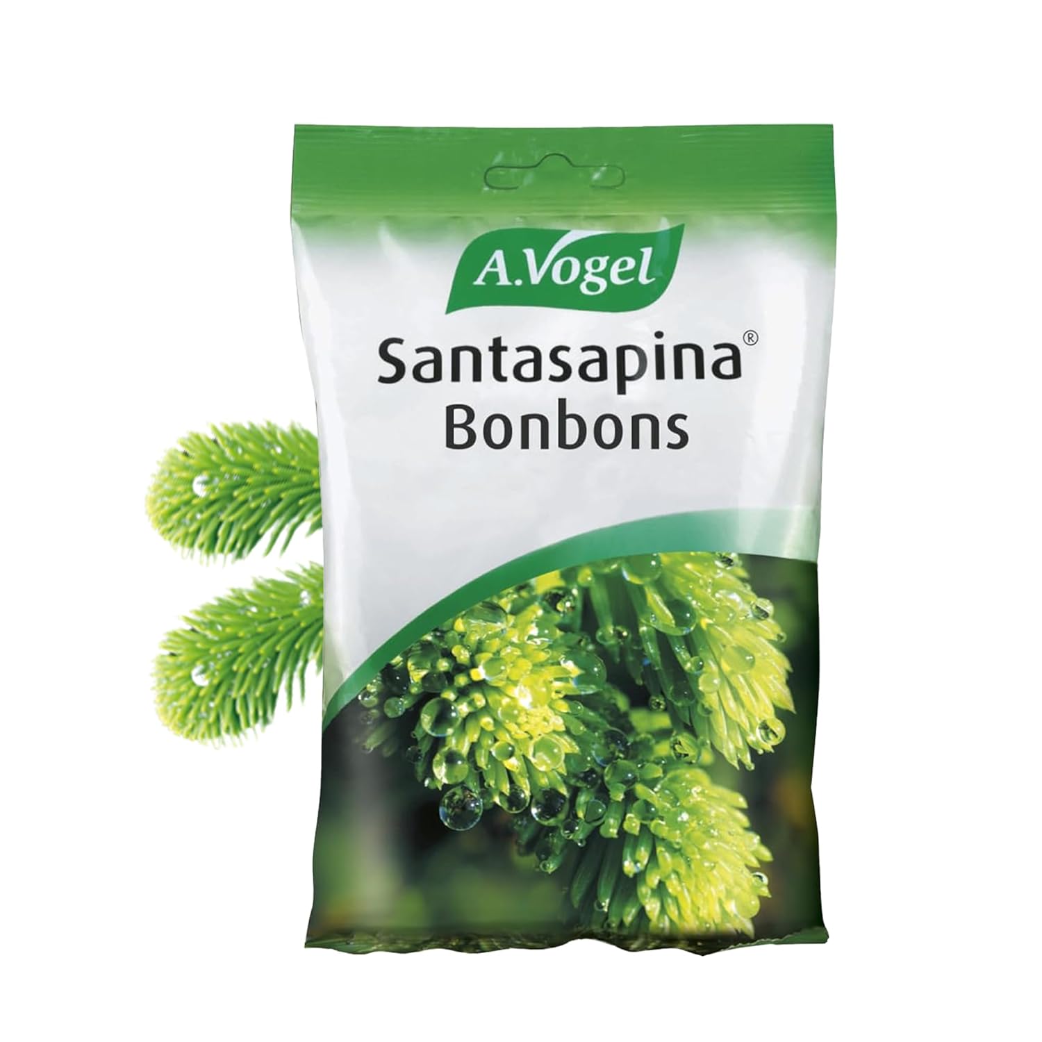 BIOFORCE - BI 100G BONBONS SANTASAPINA