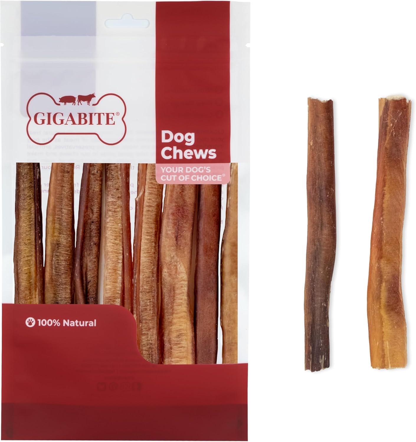 Best Pet Supplies GigaBite 6 Inch Natural Odor Bully Sticks Treats (10 Pack) All Natural, Free Range Beef Pizzle Dog Chews – by