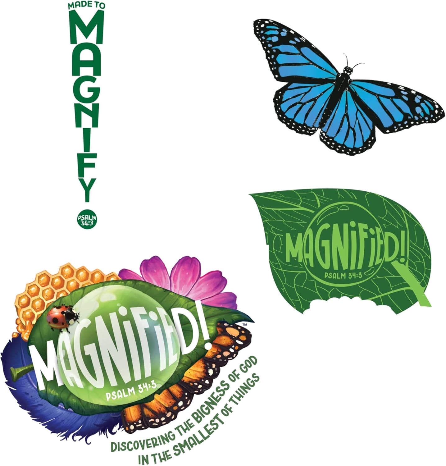 Lifeway Kids VBS 2025 Magnified! Wall Art (Package of 9)